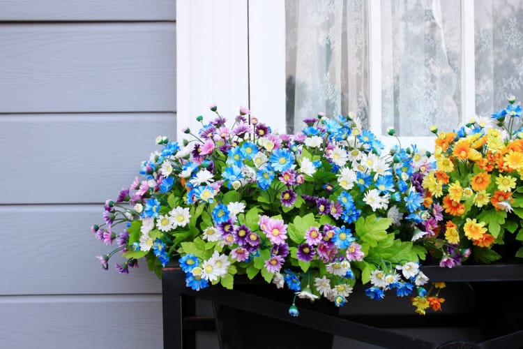 Beautiful Spring Window Box Arrangement