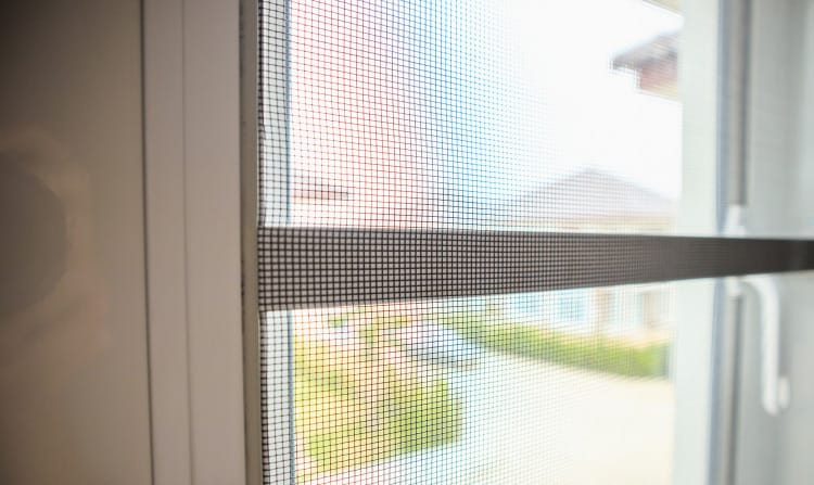 Properly maintained windows screen
