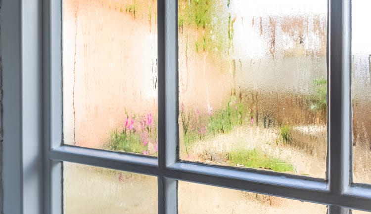 Condensation built up on an old window of a house.
